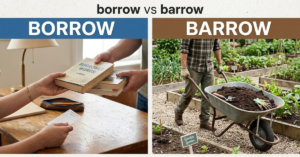 Borrow vs Barrow: Meaning, Spelling, and Usage Explained