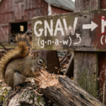 Gnaw or Knaw: Which Spelling Is Correct?