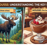 Moose vs Mousse: Understanding the Key Differences