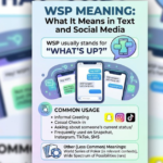 WSP Meaning: What It Means in Text and Social Media