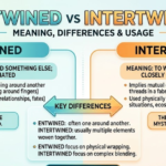Entwined vs Intertwined: Meaning, Differences & Usage