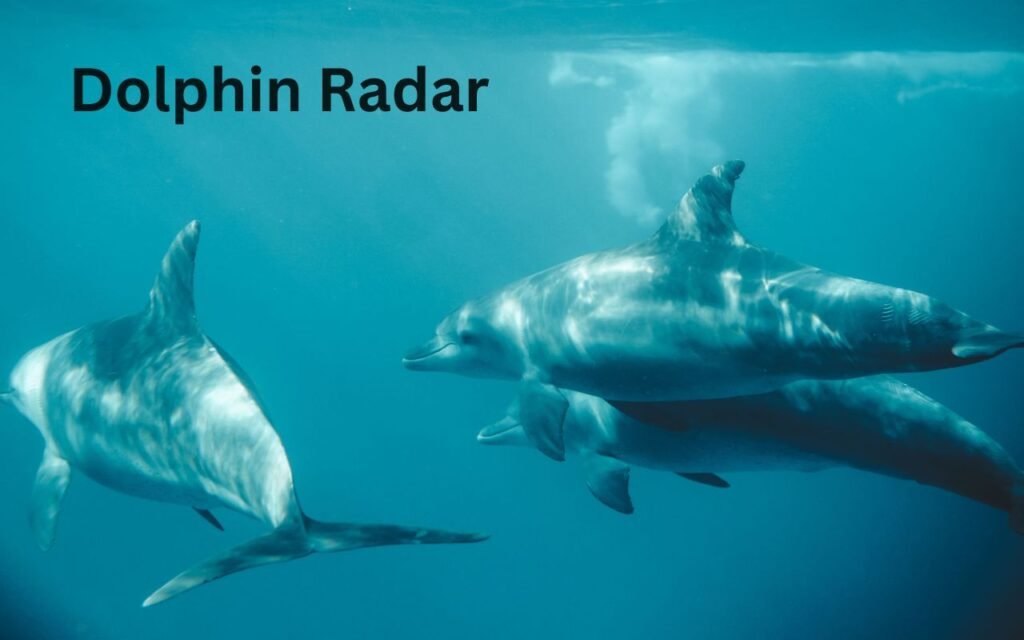 Dolphin Radar