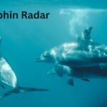 Dolphin Radar