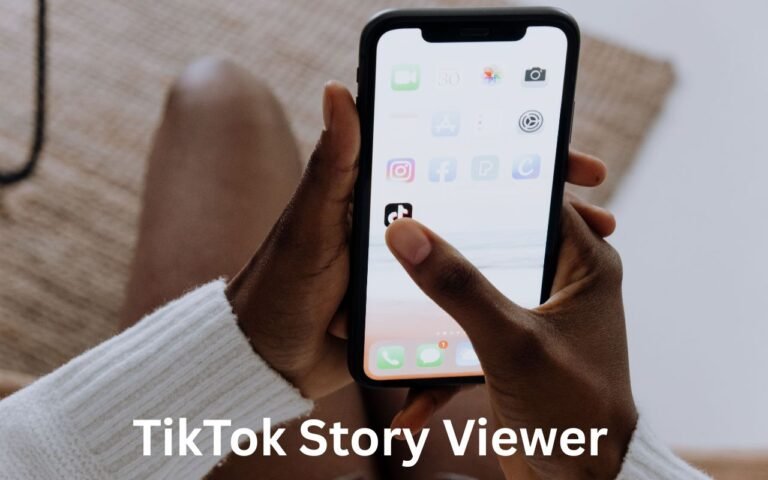 TikTok Story Viewer