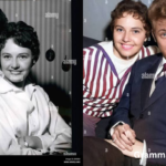 Ann Donoghue Biography Early Life, Career, Marriage, Family and Life Story