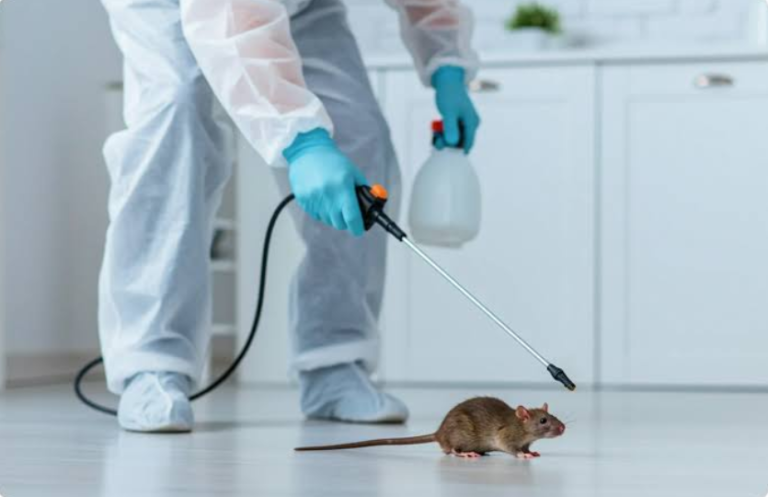 rodent control