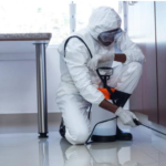 Pest Control Service