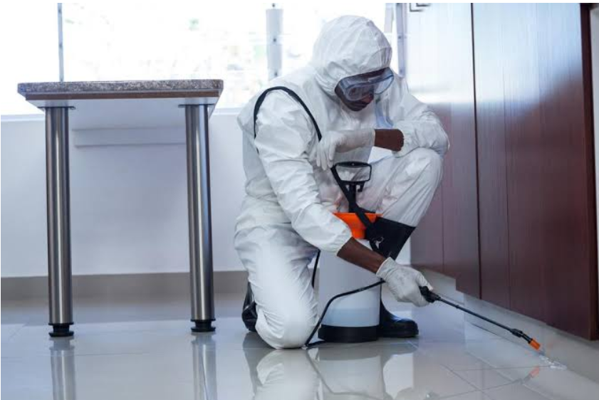 Pest Control Service